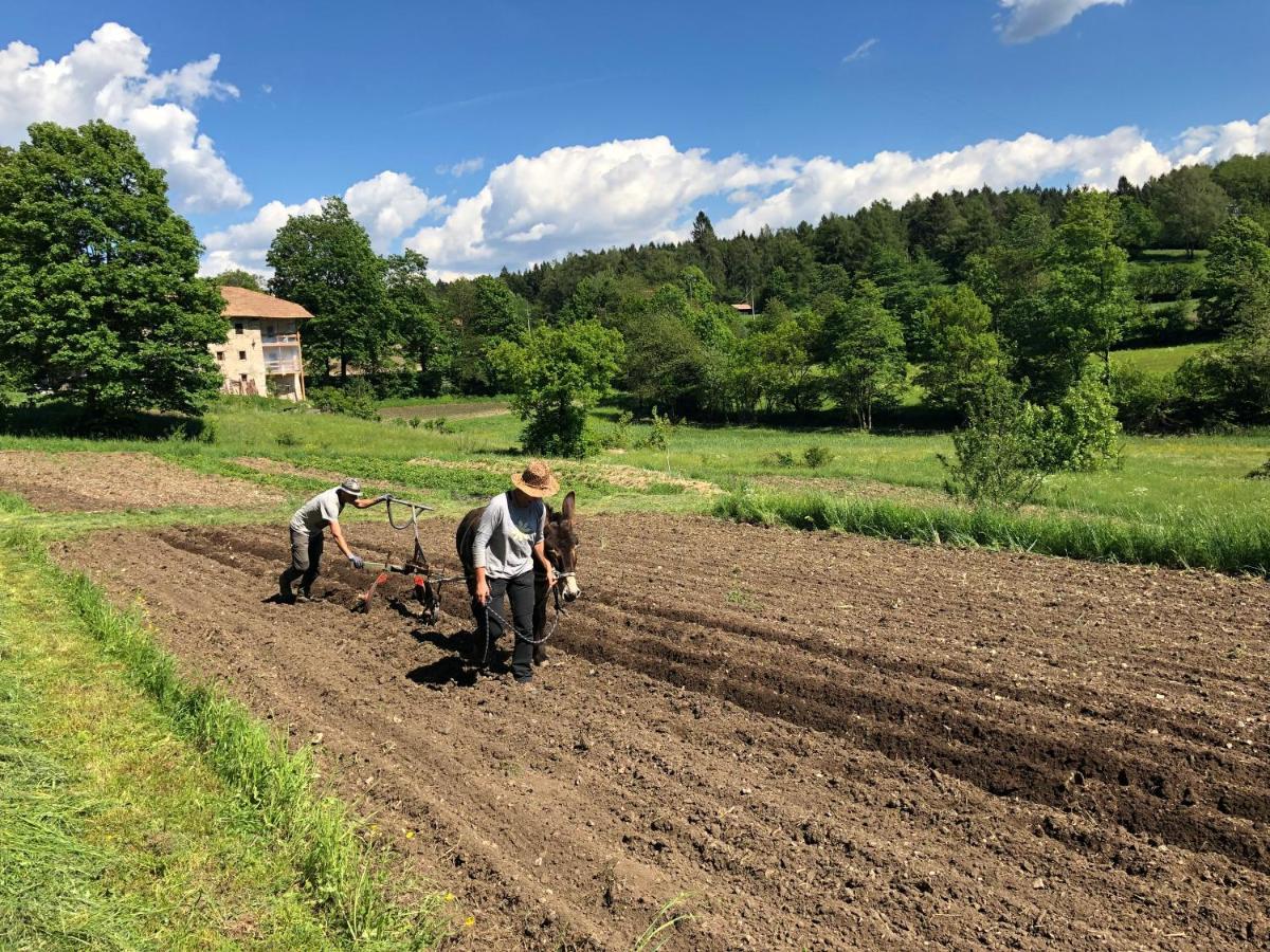 דירות Magre all' Adige Bauernhof Hof Unternberg מראה חיצוני תמונה